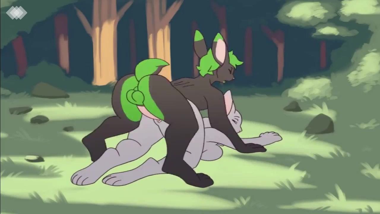 Compilation of various furry sex scenes right here